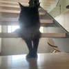 vickydevicking