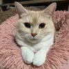 madoka.alo