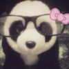 cookie3_dr34ms3