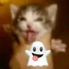 uvagamer13