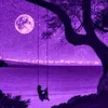 shirin.sherif2