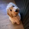 finley.caville