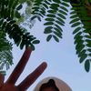 humai_rooo