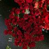user4431303510942