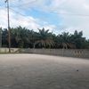 story.kata890