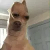 m4nsfield