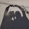 safina_610