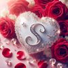 shahmeer.sathio