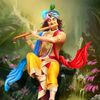 👉Kirshan Ka Deewana 🙏😇