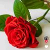 user5712529674822