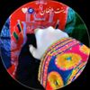 gul.badin79