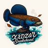 xxdzarr