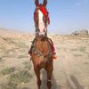 yasir.ali7785