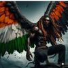 hassanomar880