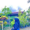 dede264369