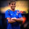 rqyan.capcut