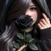 lin.lin7066