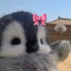taroo_2103