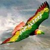 girmay.tekle0