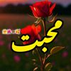 luqman74142