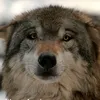 sexy_rexy007
