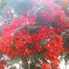 user7620980406820