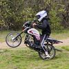 midoll4