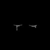 did.ali8