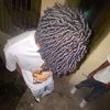 young_emer