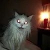 insanelyea