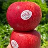 haifruits28l1
