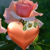 user7607131540130