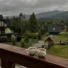 sonechca_36