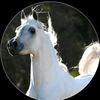 user023436078