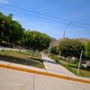 @videos.martin.Portilla.busta.