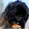 fatih.ourlu5