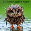 douidouidge