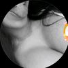 userfeliz16