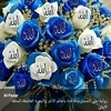ilisntmazirt431