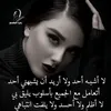 user8198165637395