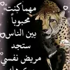 user9798615568672