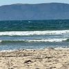 beachwalkstiktoks