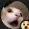 routyxd