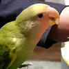 emijt4