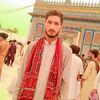 hafiz.zameer8
