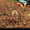 hassan.saleh537