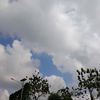 rohmawijayanti627