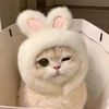 vousmevorie