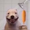 shartuncle
