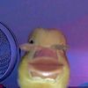 heng.heng.79